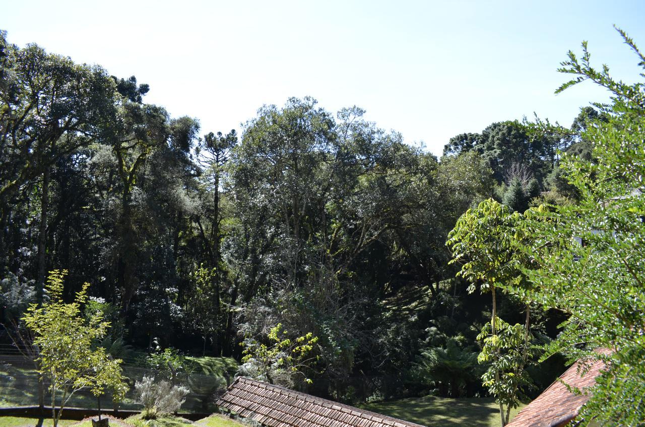 Chales Dona Zenta Monte Verde  Bagian luar foto